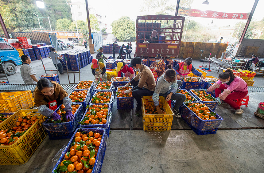 ���˂��ڷ֒�ɰ������