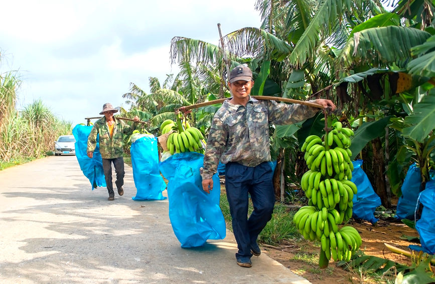 ���r(n��ng)Ę���������S�յ�ϲ����