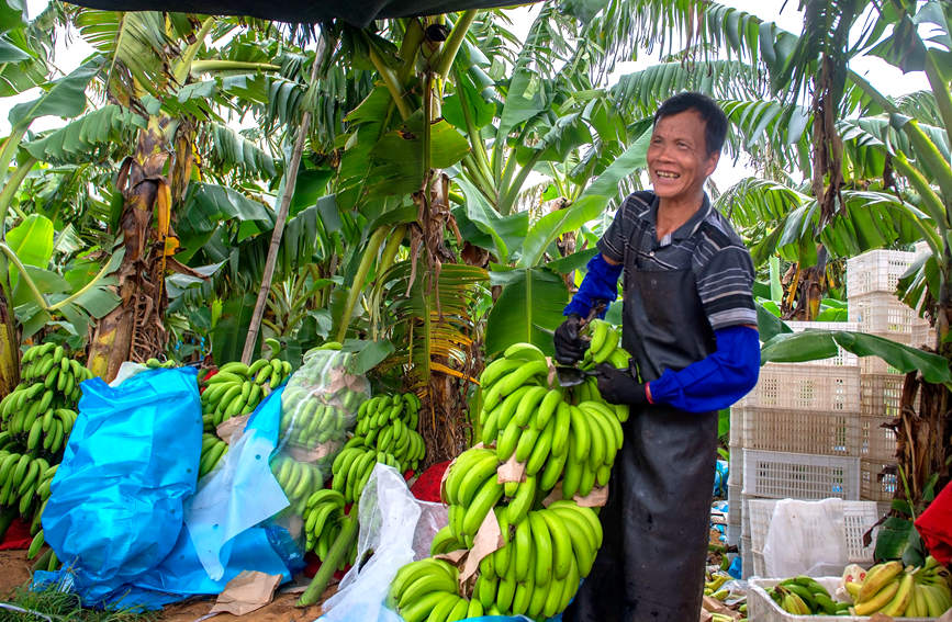 ���r(n��ng)���ڲ�ժ�㽶��