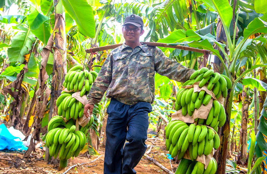 ���r(n��ng)Ę���������S�յ�ϲ����