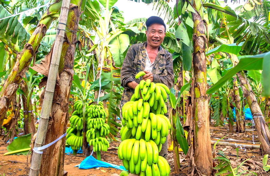 ���r(n��ng)Ę���������S�յ�ϲ����