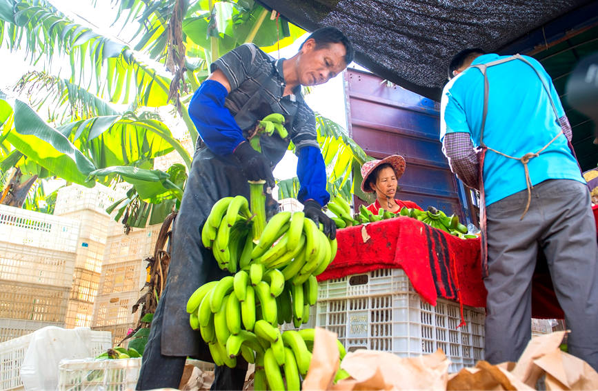 ���r(n��ng)���ڲ�ժ�㽶��