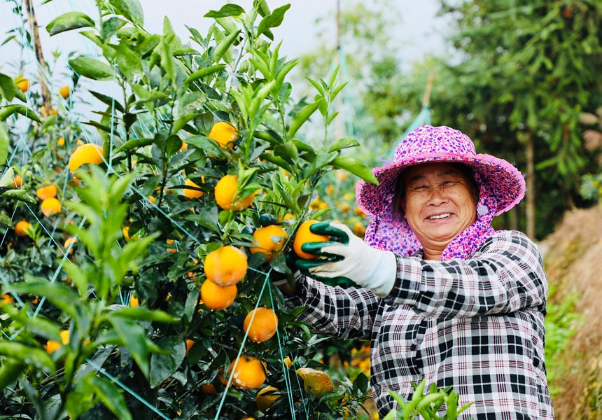 ���r(n��ng)�����ָ̻���ժ����