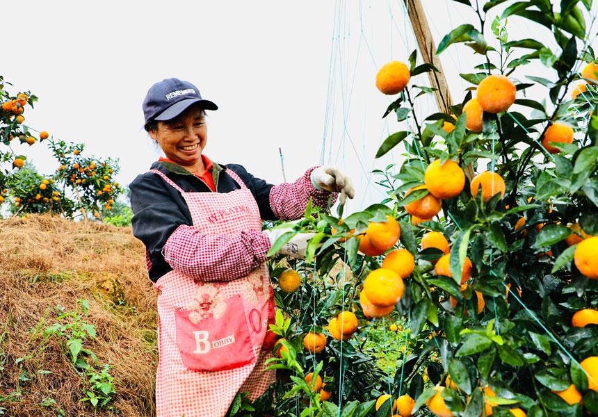 ���r�����ָ̻���ժ����