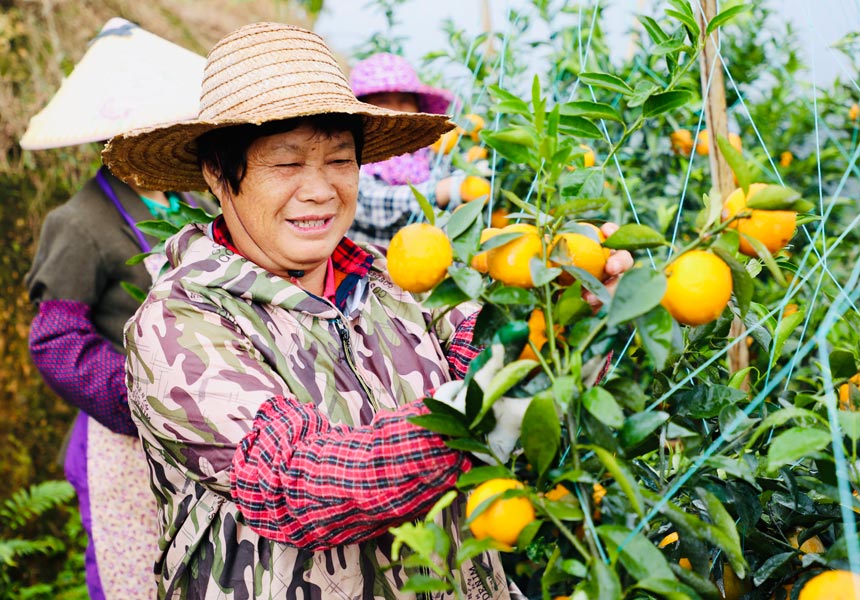 ���r(n��ng)�����ָ̻���ժ����