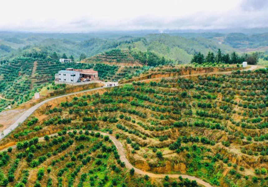 ƽ�Ͽh�����(zh��n)�ָ̻�����