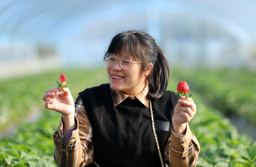 ����չʾ������ժ�Ĳ�ݮ��