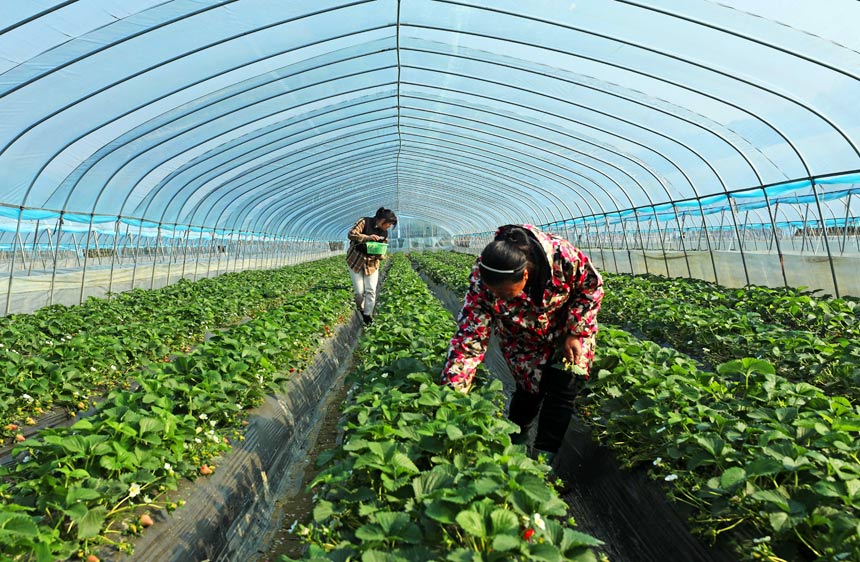 ��(d��ng)?sh��)ش������ڲ�ժ��ݮ�? ><div   id=