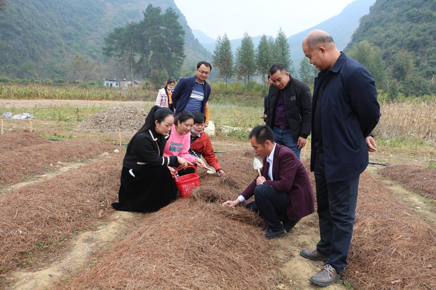 ������ؓ(f��)؟(z��)����͂���B��β�ժ����������?hu��)ɻ۔z