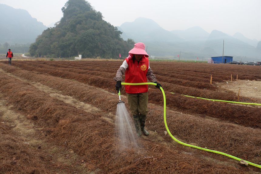 �����繤���ڽo�����ם�ˮ�����ɻ۔z