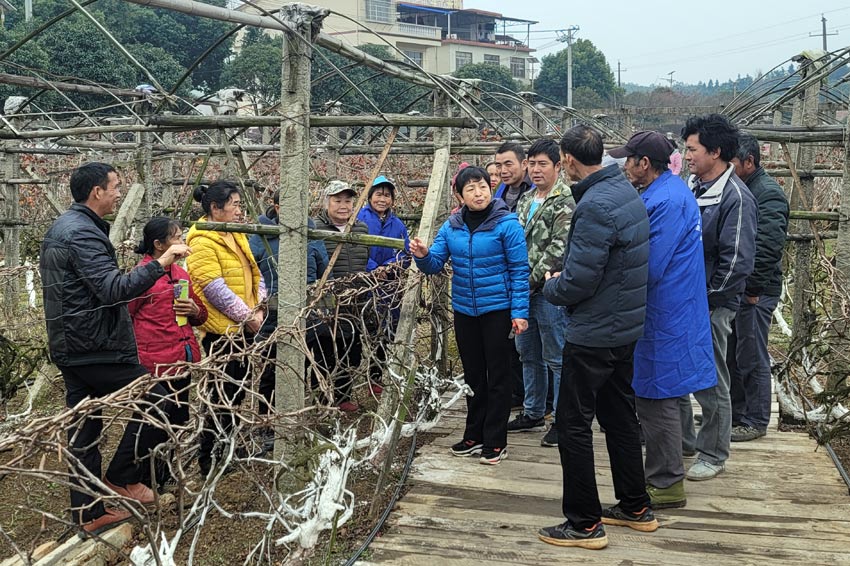 ���Ѷ����������g���g��Ӗ����С�o�z