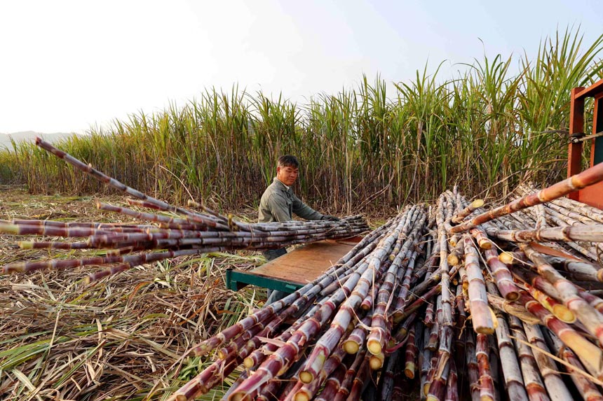 ���r(n��ng)���ڰ��\(y��n)������