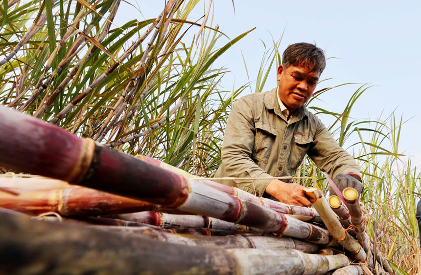 ���r��������������