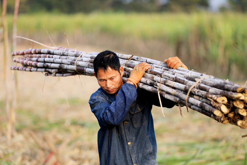 ���r(n��ng)���ڰ��\(y��n)������