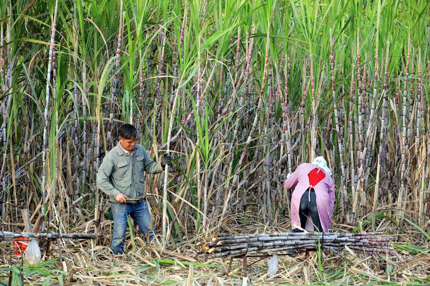 ���r(n��ng)���ړ��ո�����