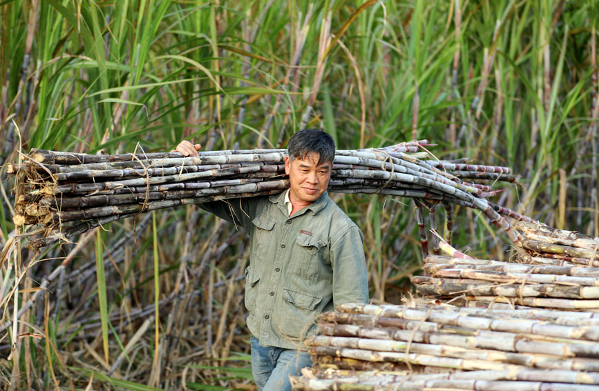 ���r(n��ng)�������g���\(y��n)������