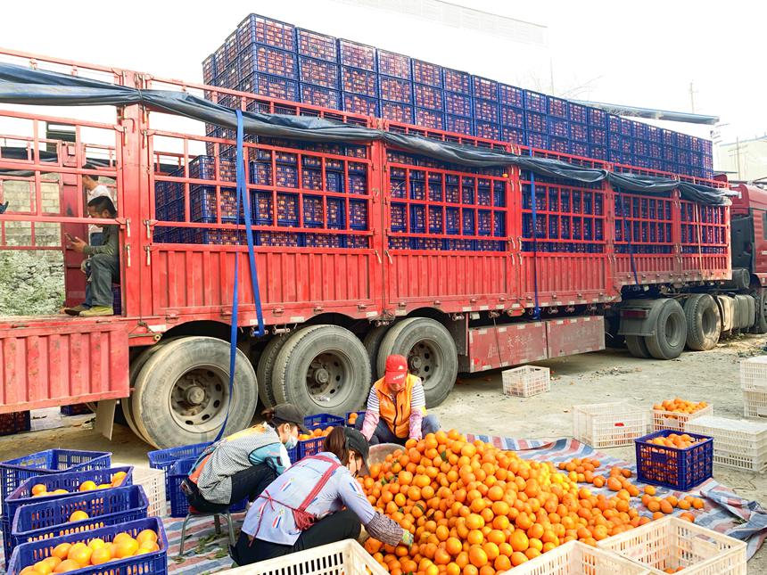 ���˂����ڷ֒����b�����b܇