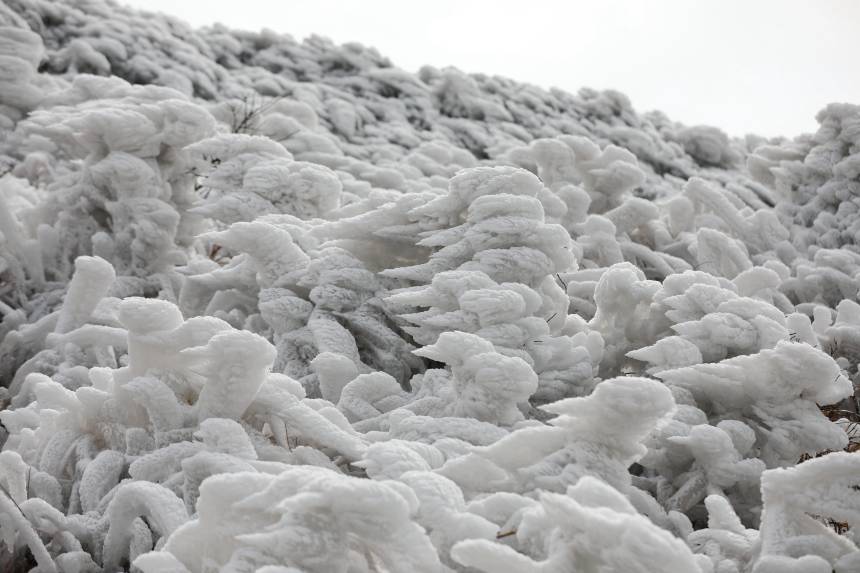 �������������οh�ϱ��l(xi��ng)����ɽ�Ĕz��ѩ�������տ��z