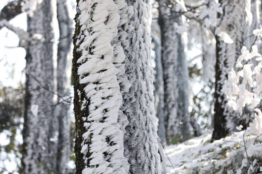 �������������οh�ϱ��l(xi��ng)����ɽ�Ĕz��ѩ�������տ��z