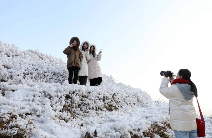 �������������οh��(d��)��(zh��n)�������������ο���ѩ������Ӱ�����տ��z