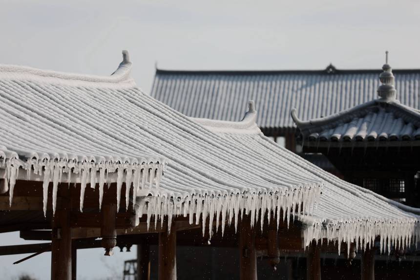 �������������οh����(zh��n)�������Ĕz��ѩ�������տ��z