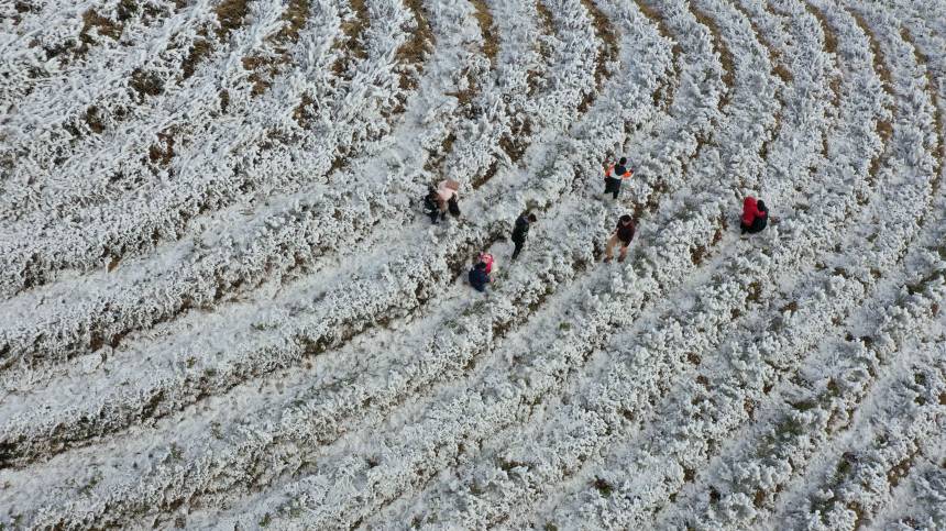 �o�˙C���ĵ������������οh����(zh��n)������ѩ�������տ��z