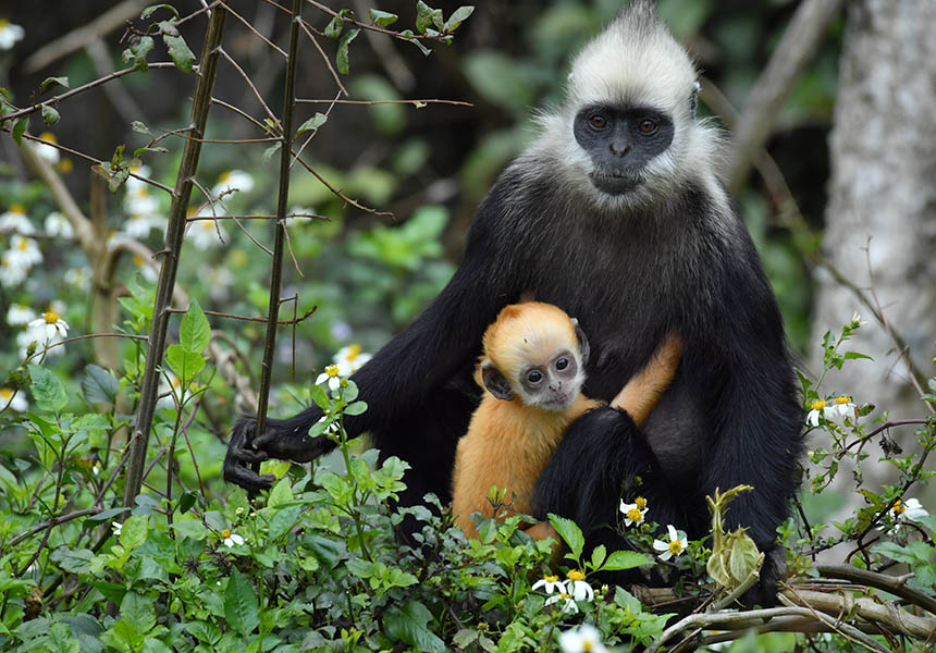 ���^�~������M(j��n)�����ѱ��������V�i�z