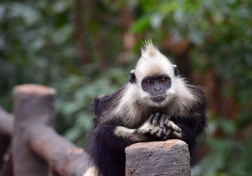 ���^�~����V�i�z