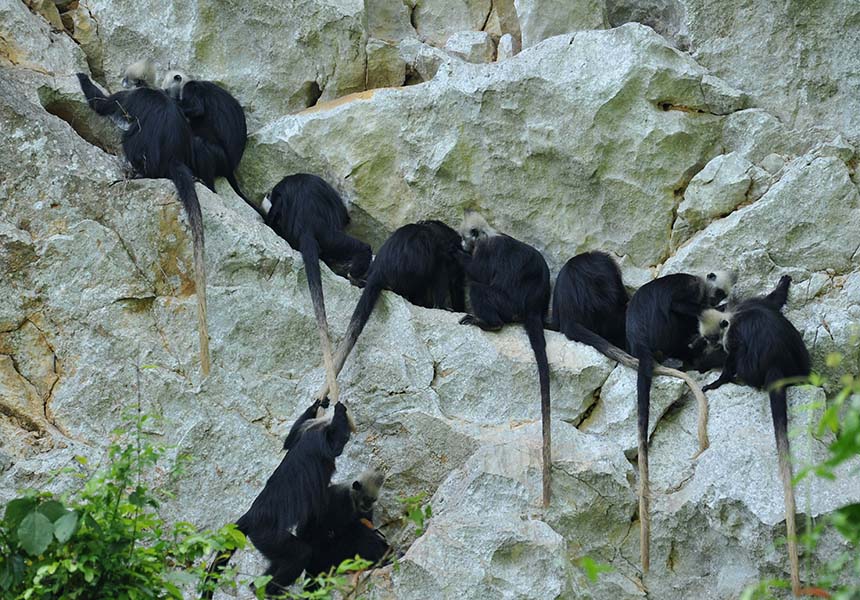 ���^�~���ڎr�������š����������V�i�z