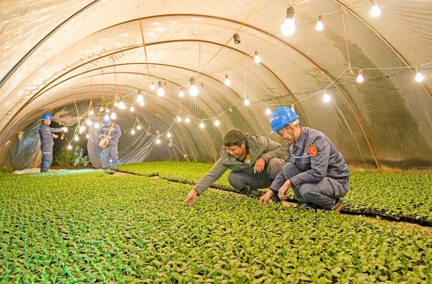 �ߌ���늾ֹ����ˆT���T������������ﱣ������M(j��n)��ָ��(d��o)��