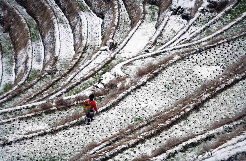 2��23�գ��V�����ٸ������οh��������ѩ����Ĭ���DŮ��