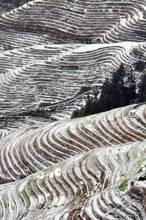 2��23�����V�����ٸ������οh��������ѩ����