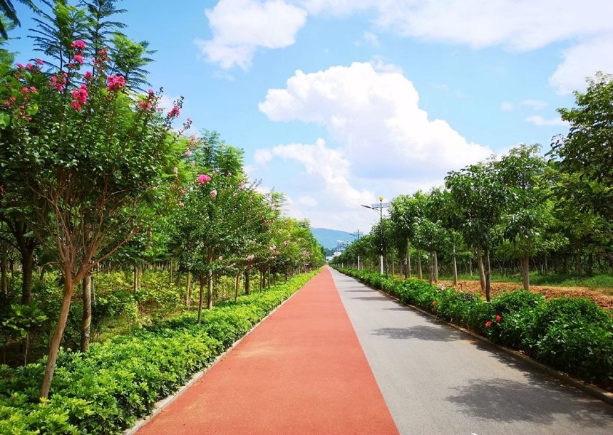 ��(y��u)�����ό�������^(q��)�r(n��ng)�幫·��