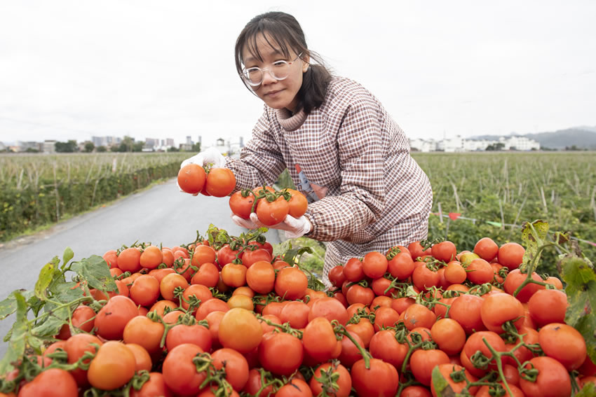 Ⱥ��ð�꓌�����t����