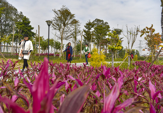 ���[�Ŀ��˽j(lu��)�[���^