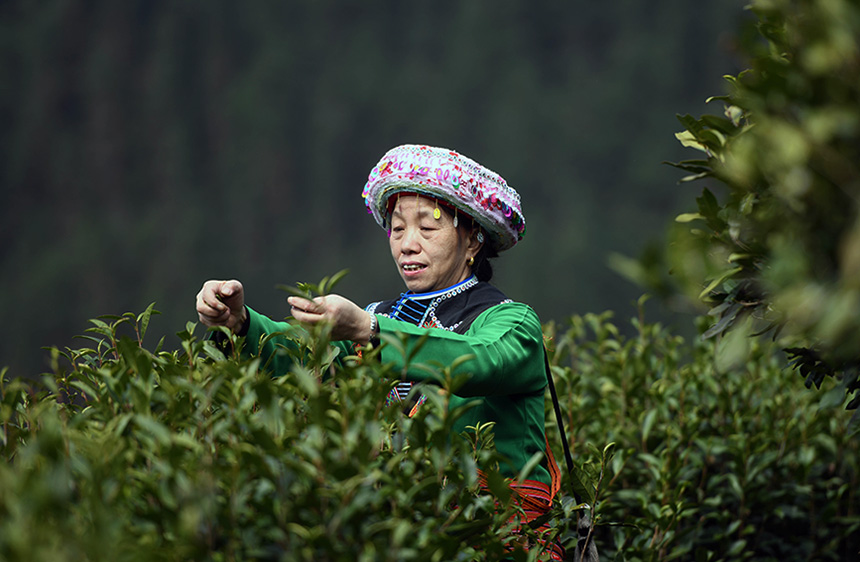 3��2�գ��ڏV�����ٸ������οh�����l(xi��ng)���״��L��M�����r(n��ng)�ڲ�ժ���~��