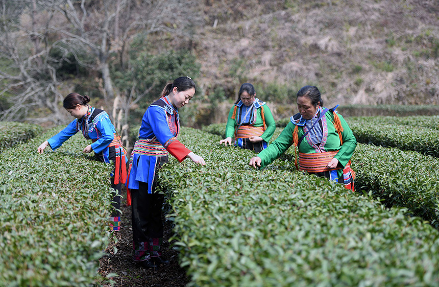 3��2�����ڏV�����ٸ������οh�����l(xi��ng)���״��L��M�����r(n��ng)�ڲ�ժ���~��