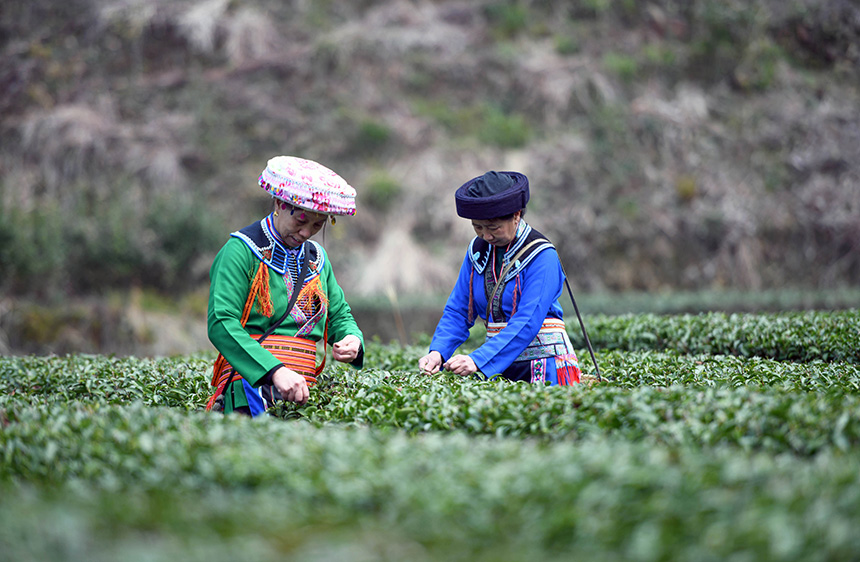 3��2�գ��ڏV�����ٸ������οh�����l(xi��ng)���״��L��M�����r(n��ng)�ڲ�ժ���~��