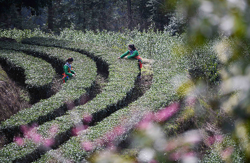 3��2�����ڏV�����ٸ������οh�����l(xi��ng)���״��L��M�����r(n��ng)�ڲ�ժ���~��