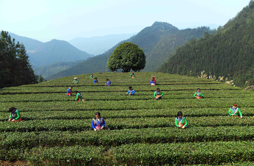 3��2�գ��ڏV�����ٸ������οh�����l(xi��ng)���״��L(zh��ng)��M�����r(n��ng)�ڲ�ժ���~��