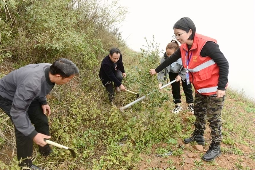 �ܐ��Ǝ��I(l��ng)Ⱥ�����Ͳ�����z����