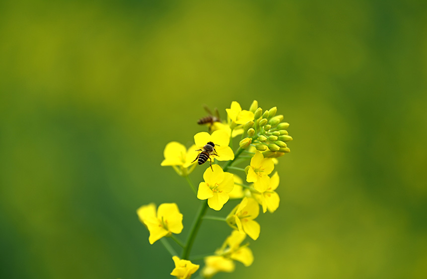 �۷����Ͳ˻��ϲ��ۡ�