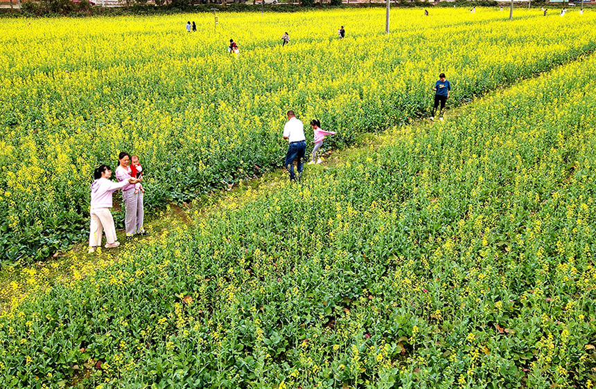 �p��æ��