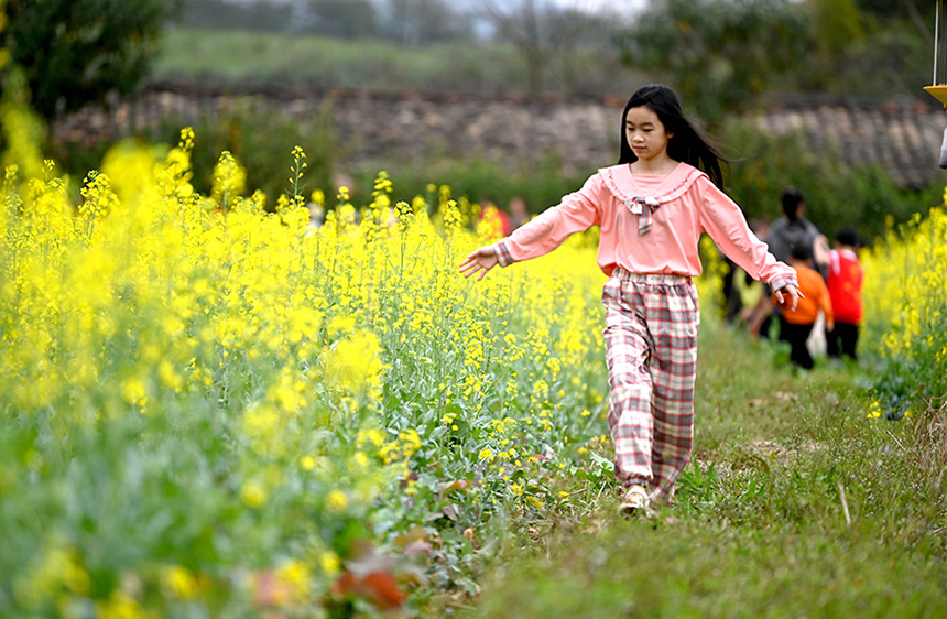 ������x���p����