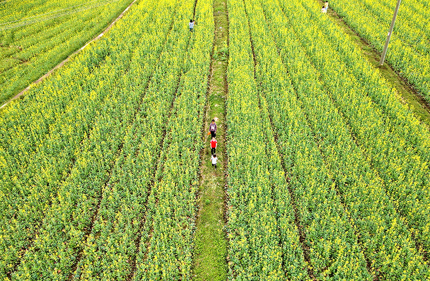 С���т����Ͳ˻����ﴩ�С�