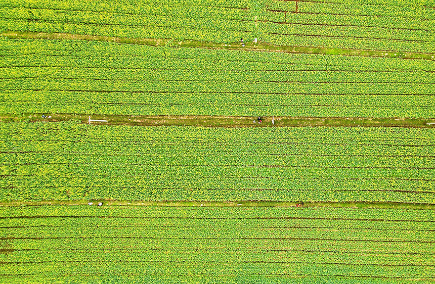 �ٮ��Ͳ˻�ʢ�_��