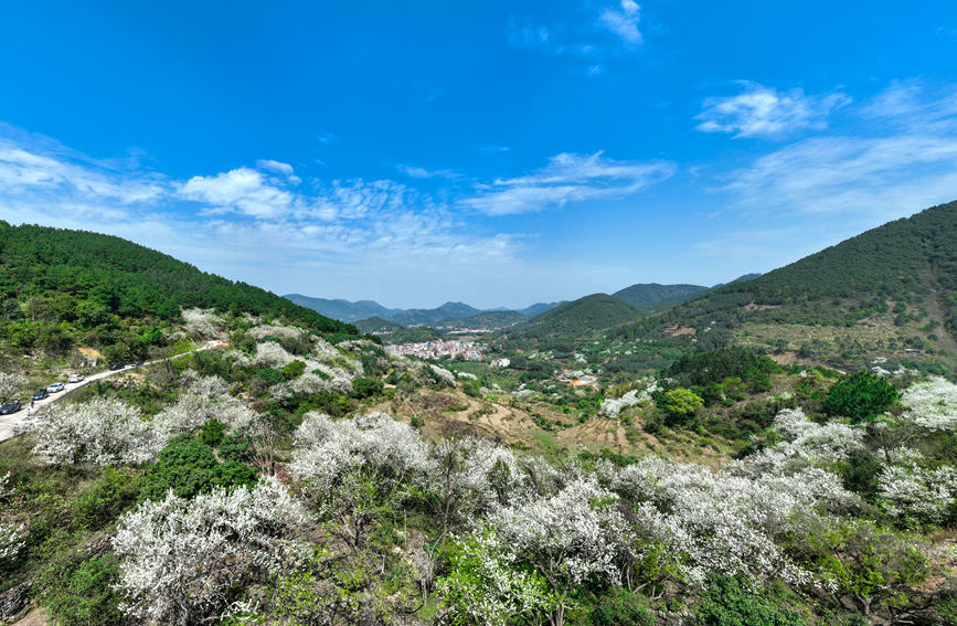 �J���^(q��)����(zh��n)��G�滨���l(xi��ng)�����΅^(q��)ȫ��������z