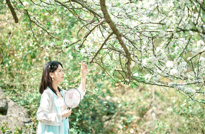 游客身著漢服在花樹下留影。黃開碧攝