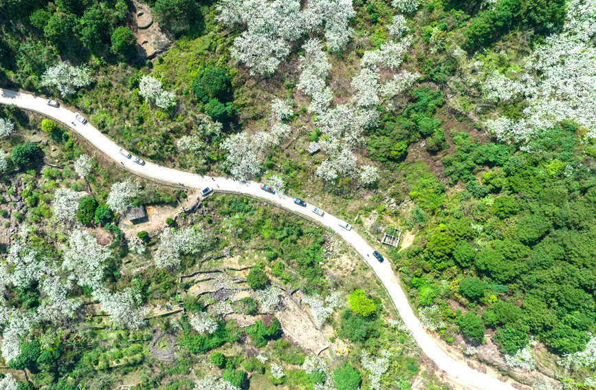 �滨�����_��������z