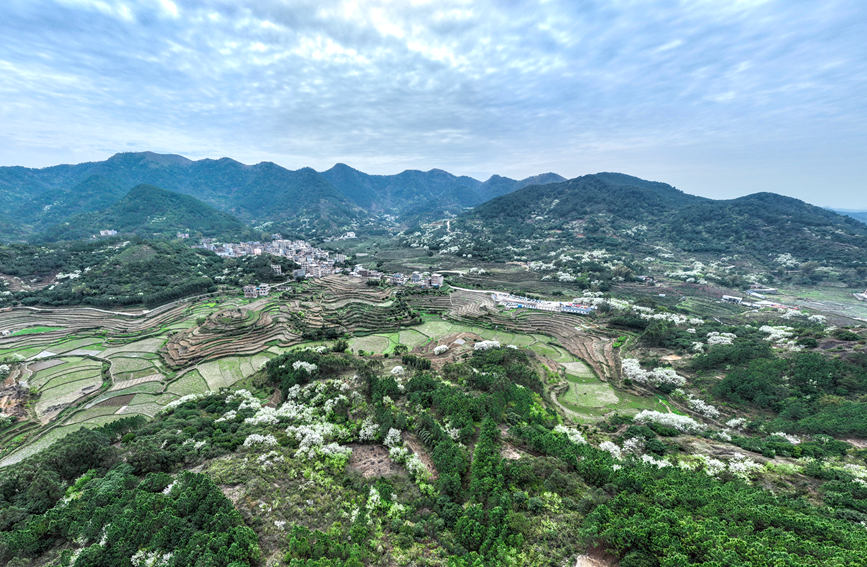 �J���^(q��)����(zh��n)��G�滨���l(xi��ng)�����΅^(q��)ȫ��������z